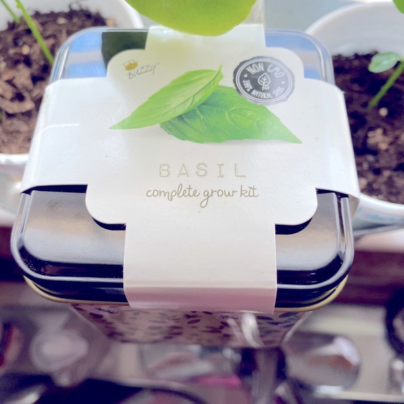 Basil - Picture 4 of 4